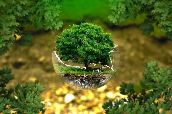 Comment le développement durable contribue efficacement à la protection de la nature ?