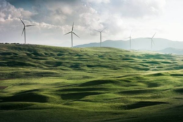 Qu'est-ce que l'économie verte et quels sont ses objectifs ?