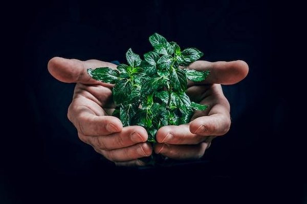 Quels sont les secteurs d'activité concernés par l'économie verte ?