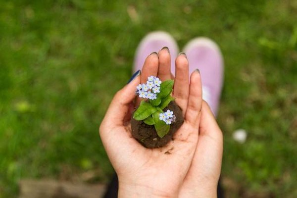 Quels sont les enjeux et les opportunités de l'économie verte ?