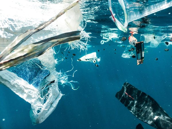 Quelles sont les sources et les causes de la pollution?