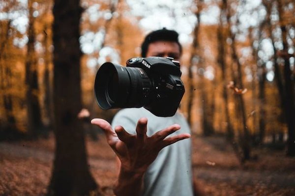 Les initiatives artistiques pour valoriser la beauté de la nature en France