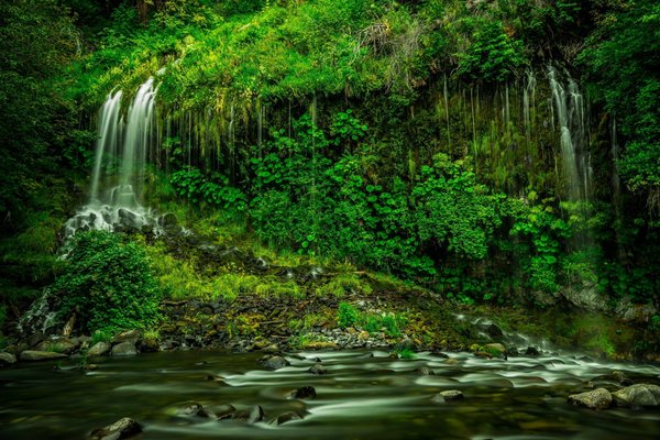Les ONG les plus engagées dans la protection de la nature