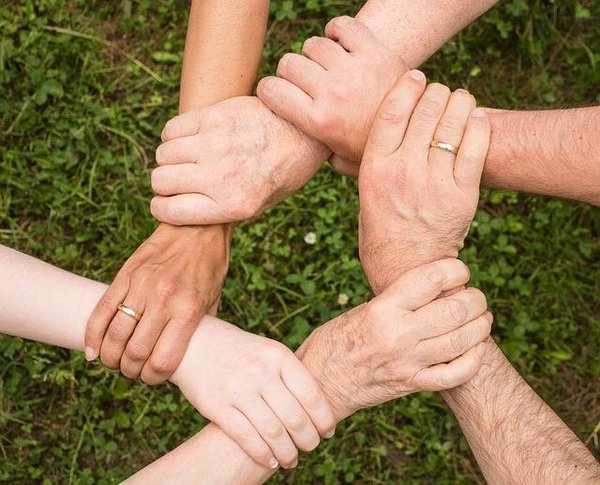 L'importance des emplois verts dans la protection de la nature